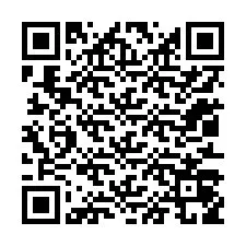 QR-code voor telefoonnummer +12013059985