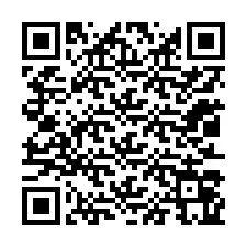 QR код за телефонен номер +12013065495