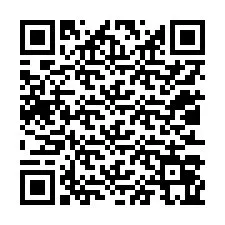 QR-код для номера телефона +12013065498