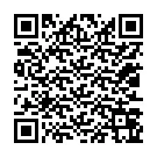 QR Code pour le numéro de téléphone +12013065499
