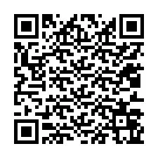 QR-код для номера телефона +12013065502