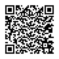 QR Code สำหรับหมายเลขโทรศัพท์ +12013065503