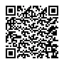 QR-код для номера телефона +12013066569