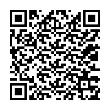 QR-koodi puhelinnumerolle +12013375599