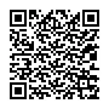 QR kód a telefonszámhoz +12013375600