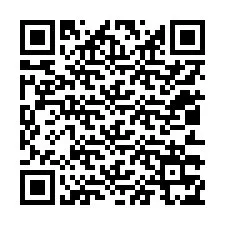 QR-код для номера телефона +12013375604