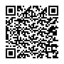 QR-Code für Telefonnummer +12013378863