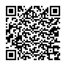 QR kód a telefonszámhoz +12013378866