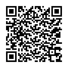 QR Code pour le numéro de téléphone +12013378868