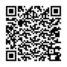 電話番号のQRコード +12013380096