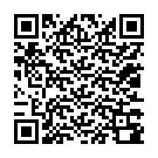 QR kód a telefonszámhoz +12013380099