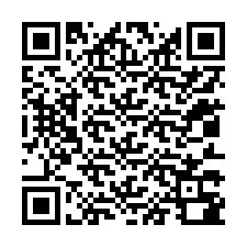 QR-код для номера телефона +12013380100