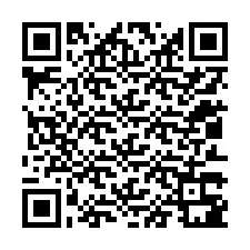 QR Code สำหรับหมายเลขโทรศัพท์ +12013381854