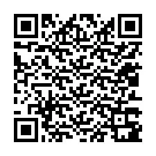 QR-koodi puhelinnumerolle +12013381856