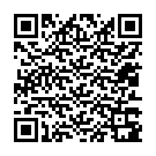 QR-kood telefoninumbri jaoks +12013381857