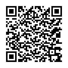 QR kód a telefonszámhoz +12013395871