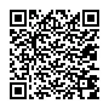 Codice QR per il numero di telefono +12013404187