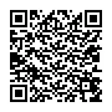 QR Code pour le numéro de téléphone +12013456606