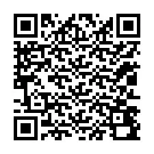 Codice QR per il numero di telefono +12013490371