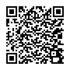 QR код за телефонен номер +12013490374