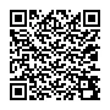 Codice QR per il numero di telefono +12013490488