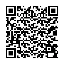 QR-code voor telefoonnummer +12013490491