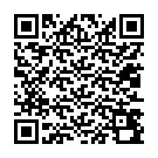 QR Code pour le numéro de téléphone +12013490493