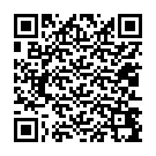 QR kód a telefonszámhoz +12013495273