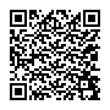 QR-код для номера телефона +12013495774