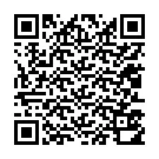 QR-код для номера телефона +12013510172