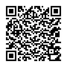 Código QR para número de teléfono +12013510565