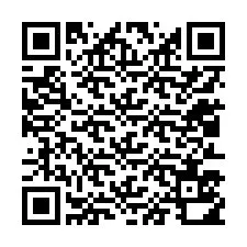 QR-код для номера телефона +12013510566