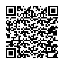 QR kód a telefonszámhoz +12013510567