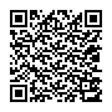 QR-код для номера телефона +12013513298