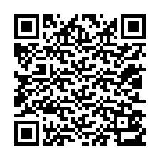 QR код за телефонен номер +12013513299