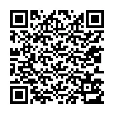 QR kód a telefonszámhoz +12013513506