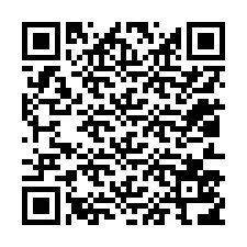 QR Code สำหรับหมายเลขโทรศัพท์ +12013516709