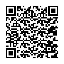 QR kód a telefonszámhoz +12013516713