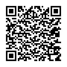 QR Code for Phone number +12013518987