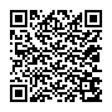 QR-code voor telefoonnummer +12013653329