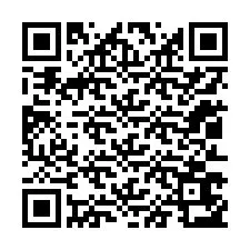 QR код за телефонен номер +12013653365