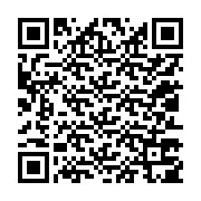 QR-code voor telefoonnummer +12013705878