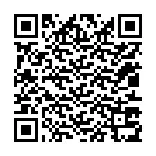 QR-koodi puhelinnumerolle +12013735881