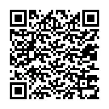 QR-koodi puhelinnumerolle +12013735887