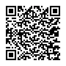 QR kód a telefonszámhoz +12013775587