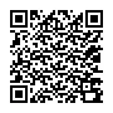 QR-код для номера телефона +12013790999