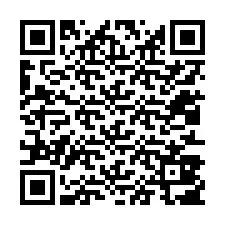 Codice QR per il numero di telefono +12013807983