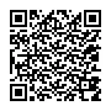 QR Code สำหรับหมายเลขโทรศัพท์ +12013818058