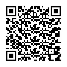 QR-code voor telefoonnummer +12013818060