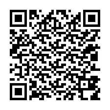 QR код за телефонен номер +12013818064